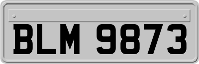 BLM9873