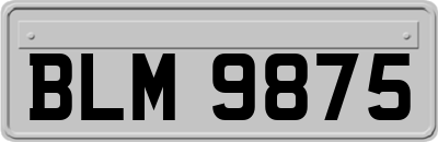 BLM9875