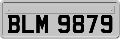 BLM9879