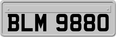 BLM9880