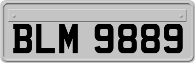 BLM9889