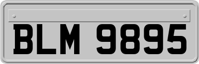 BLM9895