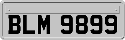 BLM9899