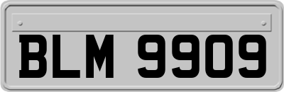 BLM9909