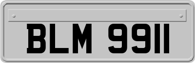 BLM9911