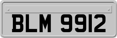BLM9912