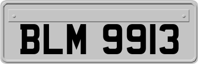 BLM9913