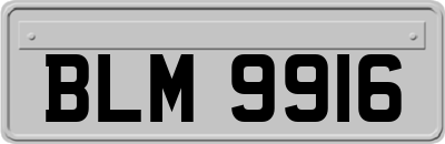 BLM9916