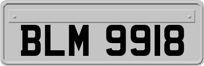 BLM9918