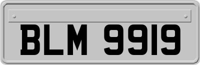 BLM9919