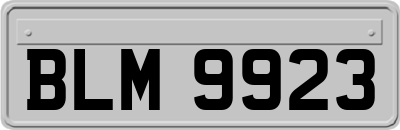 BLM9923
