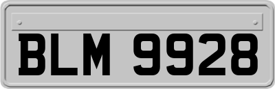 BLM9928