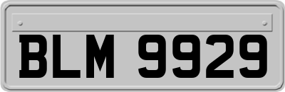 BLM9929