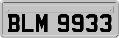 BLM9933