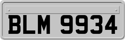 BLM9934