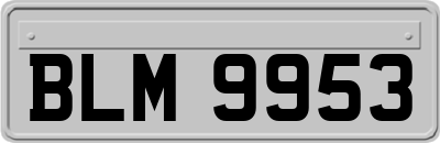 BLM9953
