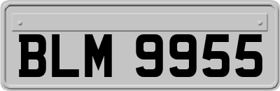 BLM9955