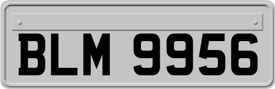 BLM9956