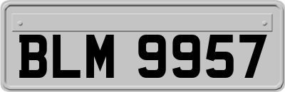 BLM9957