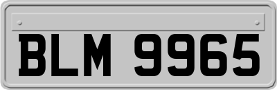 BLM9965