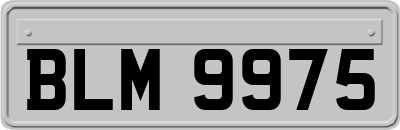 BLM9975
