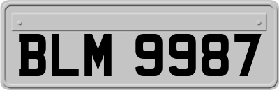 BLM9987