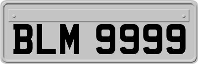 BLM9999