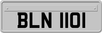 BLN1101
