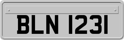 BLN1231