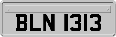 BLN1313