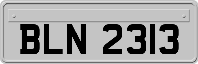 BLN2313
