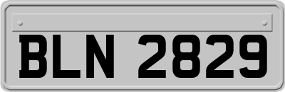 BLN2829