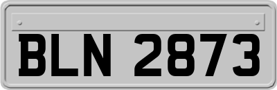 BLN2873