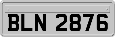 BLN2876