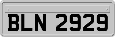 BLN2929