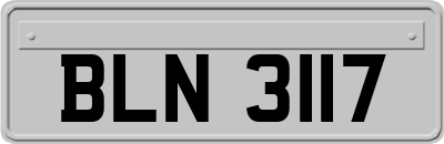 BLN3117