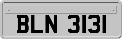 BLN3131