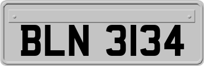 BLN3134