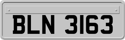 BLN3163
