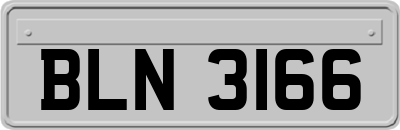BLN3166