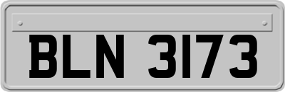 BLN3173