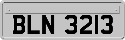 BLN3213