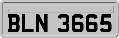 BLN3665