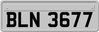 BLN3677