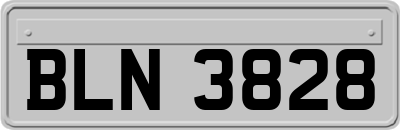 BLN3828