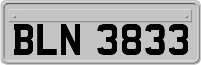 BLN3833
