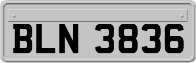 BLN3836