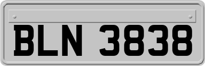 BLN3838