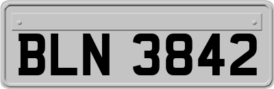 BLN3842
