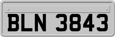 BLN3843